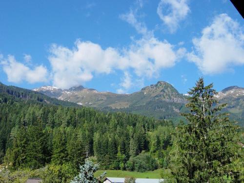 Appartementhaus Lafenthaler Mit Kostenlosem Eintritt In Alpentherme Bad Hofgastein Buitenkant foto